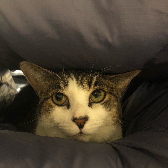 Meet your Posher, Sharen - Picture 1 of 1